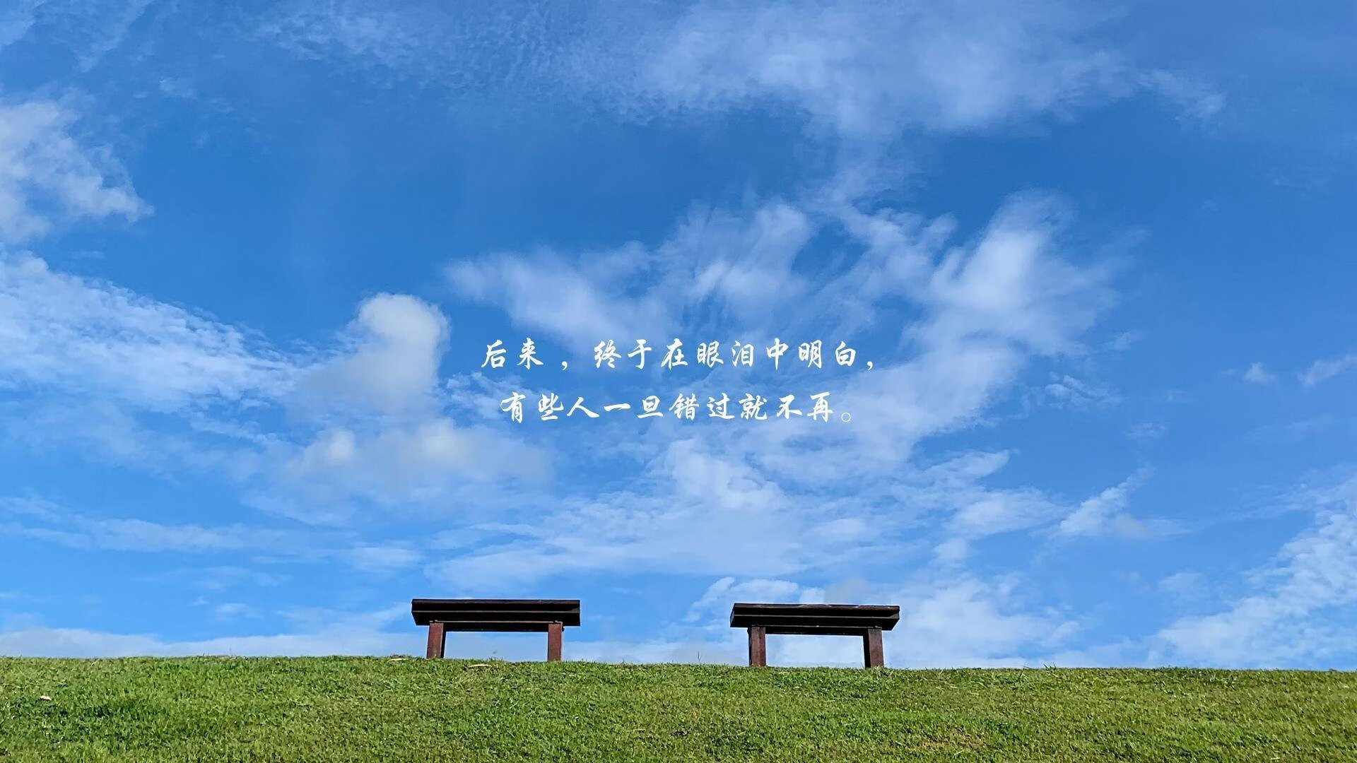 UFC中国女将再下一城,完成跻身世界前十目标,中国ufc女子选手名单