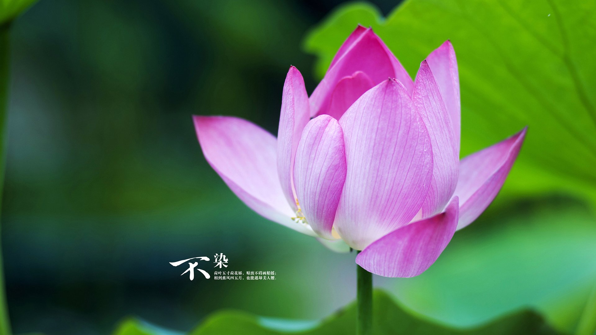 爱游戏电竞全站-VALORANT 俱乐部投资力度加大，valorant竞技