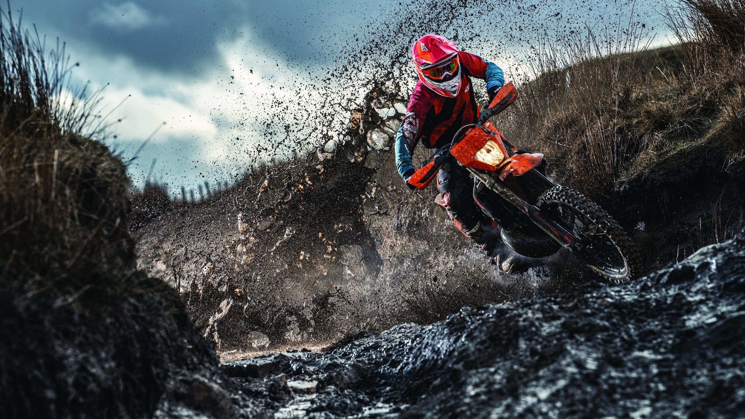 职业联赛制定专项训练报告制度便于管理层决策，职业联赛体系